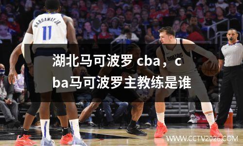 湖北马可波罗 cba，cba马可波罗主教练是谁