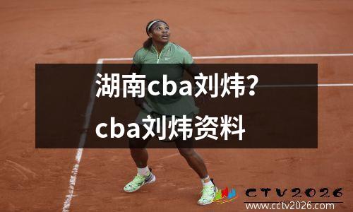 湖南cba刘炜？cba刘炜资料