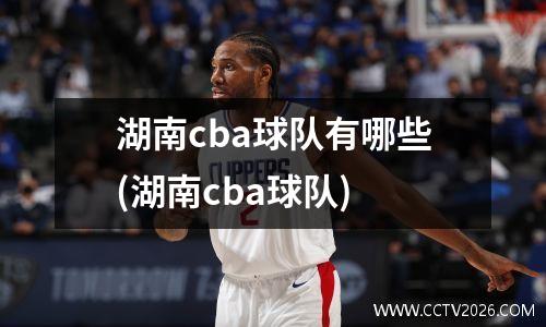 湖南cba球队有哪些(湖南cba球队)