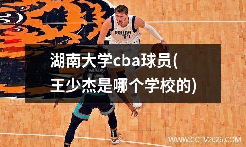 湖南大学cba球员(王少杰是哪个学校的)