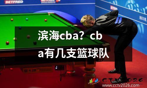 滨海cba？cba有几支篮球队