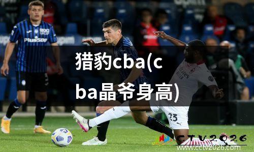 猎豹cba(cba晶爷身高)