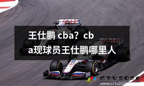 王仕鹏 cba？cba现球员王仕鹏哪里人