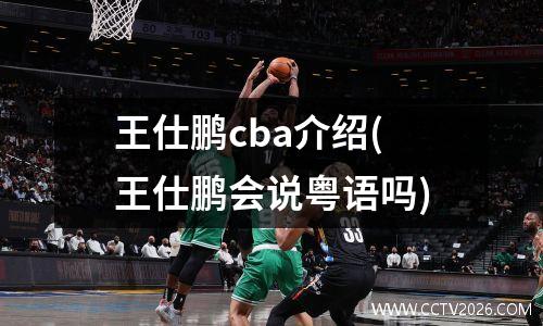 王仕鹏cba介绍(王仕鹏会说粤语吗)