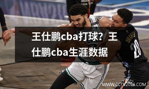 王仕鹏cba打球？王仕鹏cba生涯数据
