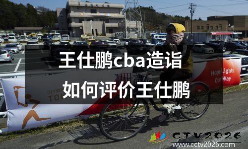 王仕鹏cba造诣 如何评价王仕鹏