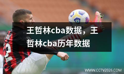 王哲林cba数据，王哲林cba历年数据