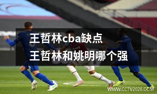 王哲林cba缺点 王哲林和姚明哪个强