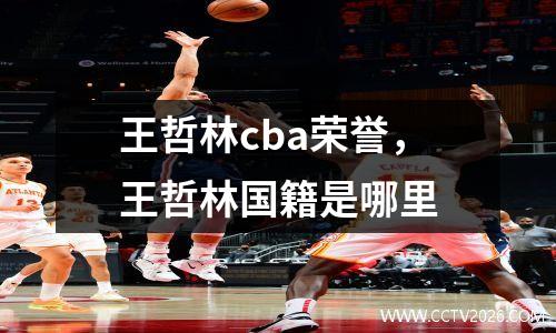 王哲林cba荣誉，王哲林国籍是哪里
