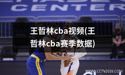 王哲林cba视频(王哲林cba赛季数据)