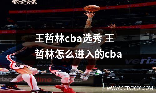 王哲林cba选秀 王哲林怎么进入的cba