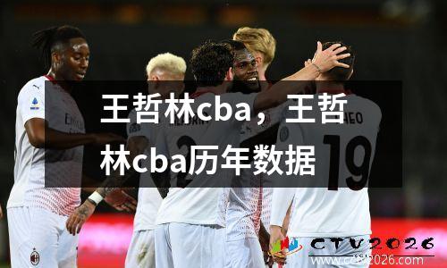 王哲林cba，王哲林cba历年数据