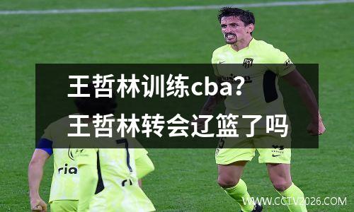 王哲林训练cba？王哲林转会辽篮了吗