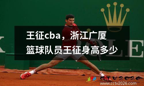 王征cba，浙江广厦篮球队员王征身高多少