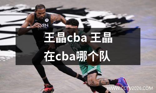 王晶cba 王晶在cba哪个队