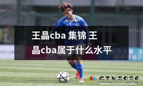 王晶cba 集锦 王晶cba属于什么水平