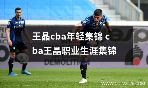 王晶cba年轻集锦 cba王晶职业生涯集锦