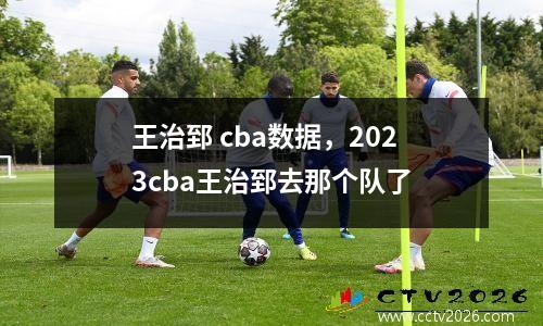 王治郅 cba数据，2023cba王治郅去那个队了