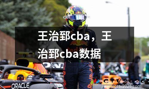 王治郅cba，王治郅cba数据