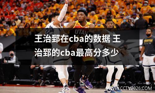 王治郅在cba的数据 王治郅的cba最高分多少