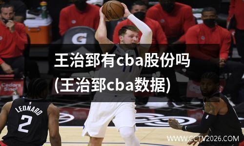 王治郅有cba股份吗(王治郅cba数据)