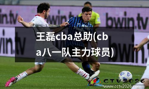 王磊cba总助(cba八一队主力球员)