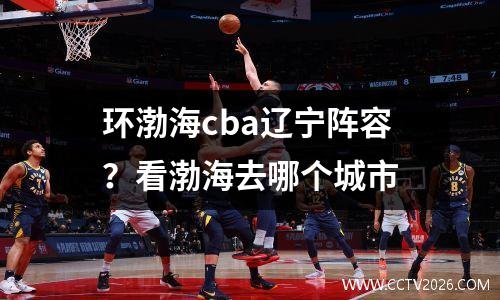 环渤海cba辽宁阵容？看渤海去哪个城市