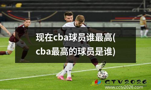 现在cba球员谁最高(cba最高的球员是谁)