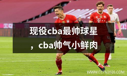现役cba最帅球星，cba帅气小鲜肉