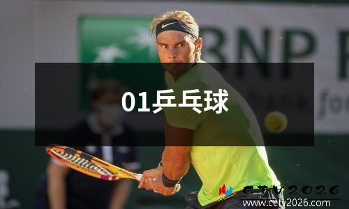01乒乓球