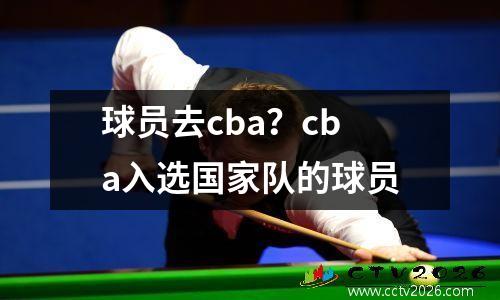 球员去cba？cba入选国家队的球员