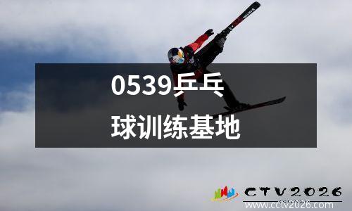 0539乒乓球训练基地