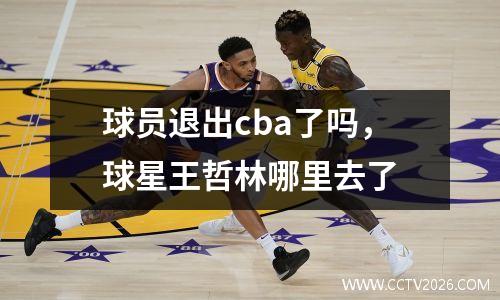 球员退出cba了吗，球星王哲林哪里去了