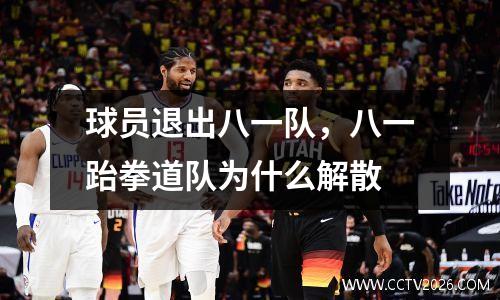 球员退出八一队，八一跆拳道队为什么解散