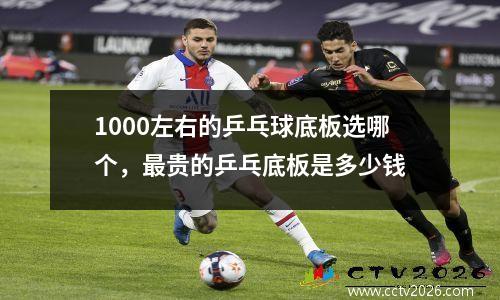 1000左右的乒乓球底板选哪个，最贵的乒乓底板是多少钱