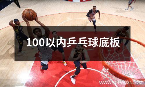 100以内乒乓球底板