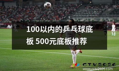 100以内的乒乓球底板 500元底板推荐