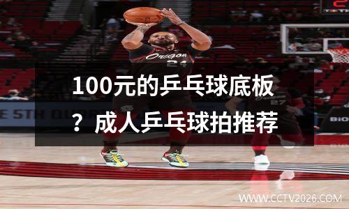 100元的乒乓球底板？成人乒乓球拍推荐