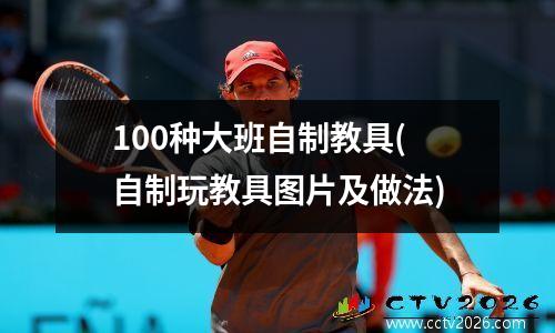 100种大班自制教具(自制玩教具图片及做法)