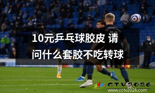 10元乒乓球胶皮 请问什么套胶不吃转球