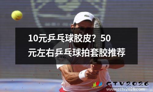 10元乒乓球胶皮？50元左右乒乓球拍套胶推荐