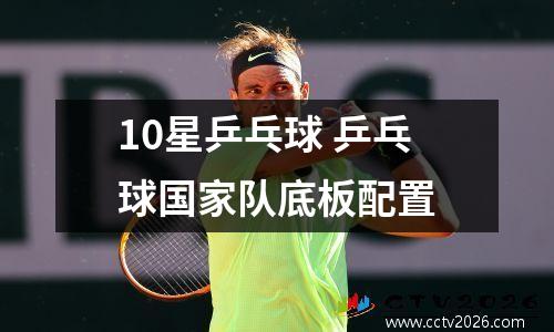 10星乒乓球 乒乓球国家队底板配置