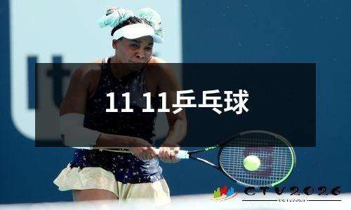 11 11乒乓球