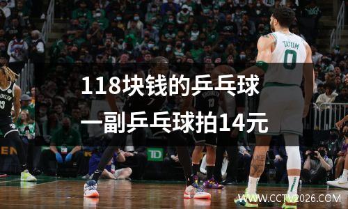 118块钱的乒乓球 一副乒乓球拍14元