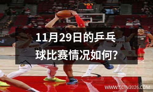 11月29日的乒乓球比赛情况如何？