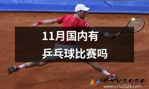11月国内有乒乓球比赛吗