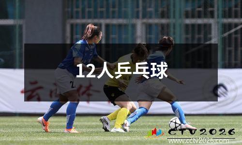 12人乒乓球
