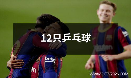 12只乒乓球