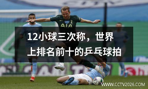 12小球三次称，世界上排名前十的乒乓球拍