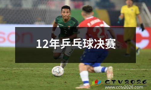 12年乒乓球决赛